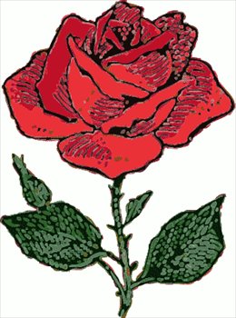 Rose Drawing Image