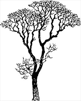 Graphics Tree