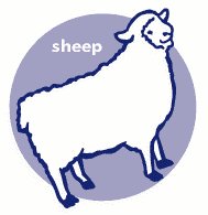 Icon Sheep