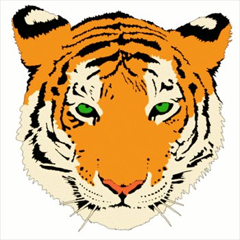 tiger head graphic