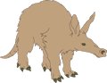 Aardvark-2