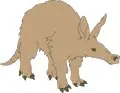 Aardvark-2