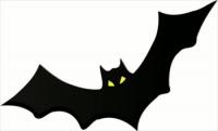 bat-w-yellow-eyes