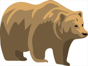 bear-1