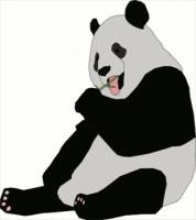 large-panda-eating