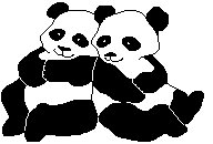 pandas