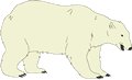 Bear-Polar-01