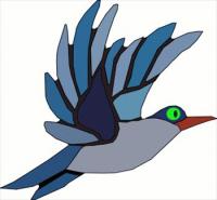 blue-bird