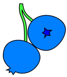 blueberries-1