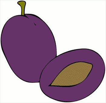 plum-4