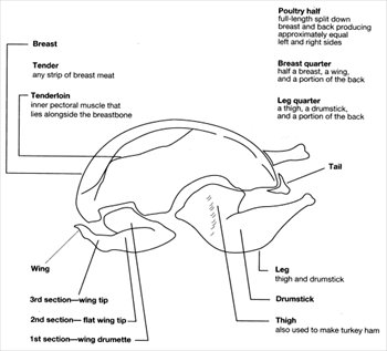 USDA-poultry-cuts