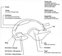 USDA-poultry-cuts