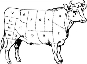 bull-butcher-diagram
