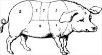 hog-butcher-diagram