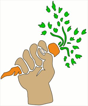 FNB-carrot
