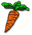 carrot-1