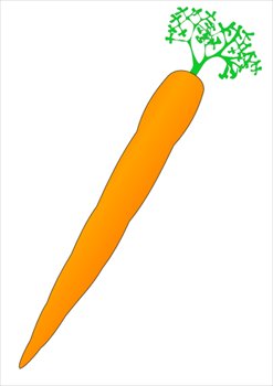 carrot