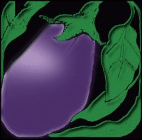 eggplant-3