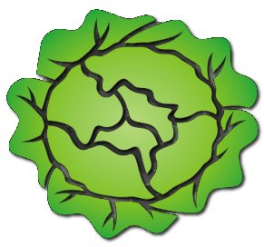 Free lettuce Clipart - Free Clipart Graphics, Images and Photos. Public