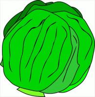 whole-lettuce