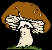 bigmushroom