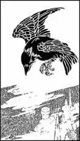 flying-crow