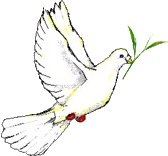 Dove-with-tea-leaf