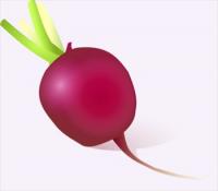 radish