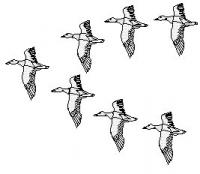 ducks-fly-in-v