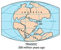 plate-teutronics-Triassic