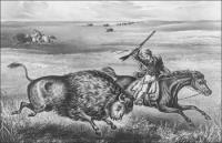 Bison-hunting-Great-Plains