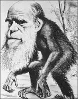 Darwin-ape