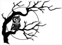 Owl-in-tree