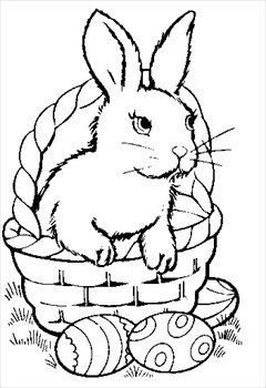 bunny-in-basket