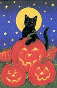 black-cat-pumpkins