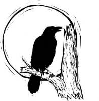 raven-in-moonlight