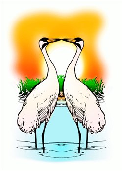 two-Love-Whooping-Cranes