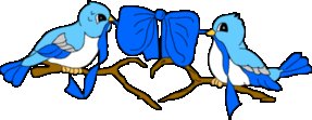 Birds-blue-ribbon