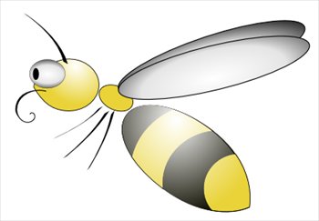 bee-bug-eyed