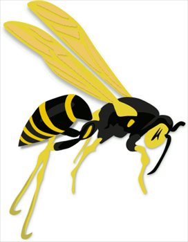 flying-wasp