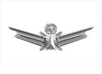 Air-Force-Space-Badge-Master