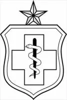 Enlisted-Medical-badge-Senior-Level