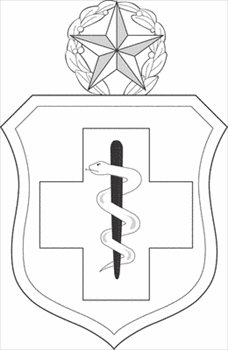 Enlisted-Medical-badge