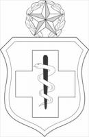 Enlisted-Medical-badge