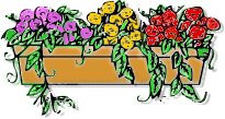 window-box