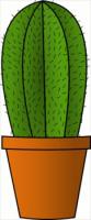 cactus-houseplant