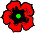 Flower-red-black