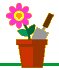 flower-pot