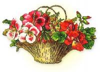 basket-pretty-flowers