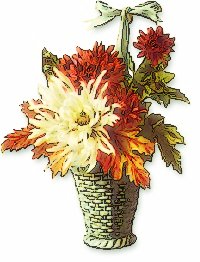 chrysanthemum-basket
